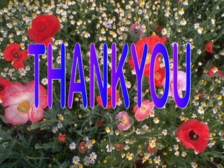 Core sub phy_att_15laser