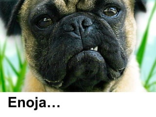 Enoja… 