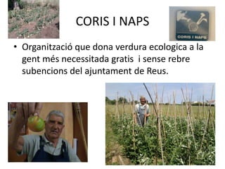 CORIS I NAPSOrganització que dona verdura ecologica a la gentmésnecessitada gratis  i senserebresubencions del ajuntament de Reus.