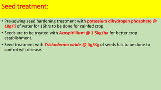 Seed treatment:
• Pre-sowing seed hardening treatment with potassium dihydrogen phosphate @
10g/li of water for 16hrs to be done for rainfed crop.
• Seeds are to be treated with Azospirillium @ 1.5kg/ha for better crop
establishment.
• Seed treatment with Trichoderma viride @ 4g/Kg of seeds has to be done to
control wilt disease.
 