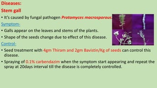 Diseases:
Stem gall
• It’s caused by fungal pathogen Protomyces macrosporous.
Symptom-
• Galls appear on the leaves and stems of the plants.
• Shape of the seeds change due to effect of this disease.
Control-
• Seed treatment with 4gm Thiram and 2gm Bavistin/Kg of seeds can control this
disease.
• Spraying of 0.1% carbendazim when the symptom start appearing and repeat the
spray at 20days interval till the disease is completely controlled.
 