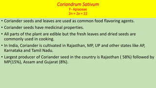 Coriandrum Sativum
F- Apiaceae
2n = 2x = 22
• Coriander seeds and leaves are used as common food flavoring agents.
• Coriander seeds have medicinal properties.
• All parts of the plant are edible but the fresh leaves and dried seeds are
commonly used in cooking.
• In India, Coriander is cultivated in Rajasthan, MP, UP and other states like AP,
Karnataka and Tamil Nadu.
• Largest producer of Coriander seed in the country is Rajasthan ( 58%) followed by
MP(15%), Assam and Gujarat (8%).
 