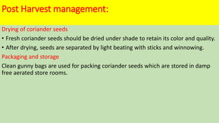 Post Harvest management:
Drying of coriander seeds
• Fresh coriander seeds should be dried under shade to retain its color and quality.
• After drying, seeds are separated by light beating with sticks and winnowing.
Packaging and storage
Clean gunny bags are used for packing coriander seeds which are stored in damp
free aerated store rooms.
 