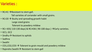 Varieties :
• RCr41 Resistant to stem gall.
Tall varieties of coriander with small grains.
• RCr20  Bushy and spreading growth habit
Large sized grains
Tolerant to powdery mildew
• RCr 435( 110-130 days) & RCr436 ( 90-100 days ) Early varieties.
• GC1, GC2
• Sindhu Resistant to aphids
• Sadhna
• Swathi
• CO1,CO2,CO3  Tolerant to grain mould and powdery mildew
• Rajendra Swathi Resistant to stem gall
 