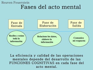 Fases del acto mental La eficiencia y calidad de las operaciones mentales depende del desarrollo de  l as FUNCIONES  COGNI...