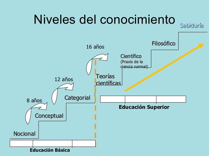 Metodología de la Investigación I Niveles de conocimiento