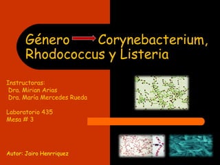 Género    Corynebacterium,
       Rhodococcus y Listeria
Instructoras:
 Dra. Mirian Arias
 Dra. María Mercedes Rueda

Laboratorio 435
Mesa # 3




Autor: Jairo Henrriquez
 