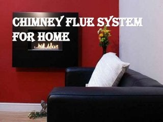 Chimney Flue System
For Home
 