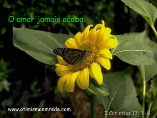 O amor jamais acaba.
I Corintios 13: 1 -8
www.otimismoemrede.com
 
