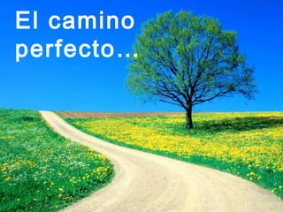El camino
perfecto…
 