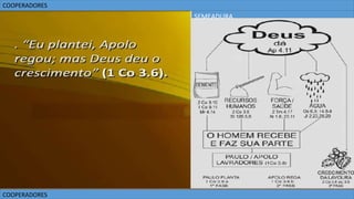 COOPERADORES
COOPERADORES
SEMEADURA
 