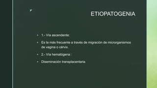 z
ETIOPATOGENIA
 1.- Vía ascendente:
 Es la más frecuente a través de migración de microrganismos
de vagina o cérvix.
 2.- Vía hematógena :
 Diseminación transplacentaria
 