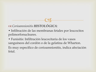 Funisitis Corioamnionitis | PPTX