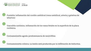 Funisitis CORIOAMNIONITIS CLINICA GINECOLOGIA Y OBSTETRICIA | PPTX