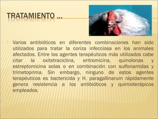    Varios antibióticos en diferentes combinaciones han sido
    utilizados para tratar la coriza infecciosa en los animales
    afectados. Entre los agentes terapéuticos más utilizados cabe
    citar    la  oxitetraciclina,  eritromicina,  quinolonas    y
    estreptomicina solas o en combinación con sulfonamidas y
    trimetoprima. Sin embargo, ninguno de estos agentes
    terapéuticos es bactericida y H. paragallinarum rápidamente
    genera resistencia a los antibióticos y quimioterápicos
    empleados.
 