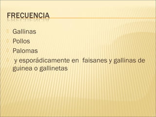    Gallinas
   Pollos
   Palomas
    y esporádicamente en faisanes y gallinas de
    guinea o gallinetas
 