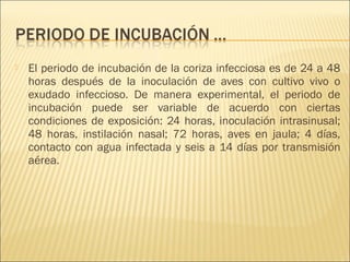    El periodo de incubación de la coriza infecciosa es de 24 a 48
    horas después de la inoculación de aves con cultivo vivo o
    exudado infeccioso. De manera experimental, el periodo de
    incubación puede ser variable de acuerdo con ciertas
    condiciones de exposición: 24 horas, inoculación intrasinusal;
    48 horas, instilación nasal; 72 horas, aves en jaula; 4 días,
    contacto con agua infectada y seis a 14 días por transmisión
    aérea.
 