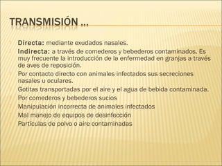    Directa: mediante exudados nasales.
   Indirecta: a través de comederos y bebederos contaminados. Es
    muy frecuente la introducción de la enfermedad en granjas a través
    de aves de reposición.
   Por contacto directo con animales infectados sus secreciones
    nasales u oculares.
   Gotitas transportadas por el aire y el agua de bebida contaminada.
   Por comederos y bebederos sucios
   Manipulación incorrecta de animales infectados
   Mal manejo de equipos de desinfección
   Partículas de polvo o aire contaminadas
 