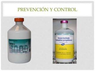 PREVENCIÓN Y CONTROL
 