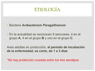 ETIOLOGÍA
• Bacteria Avibacterium Paragallinarum
• En la actualidad se reconocen 9 serovares, 4 en el
grupo A, 4 en el grupo B y uno en el grupo C.
Aves adultas en producción, el periodo de incubación
de la enfermedad, es corto, de 1 a 3 días
*No hay protección cruzada entre los tres serotipos
 