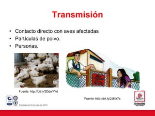 Transmisión
• Contacto directo con aves afectadas
• Partículas de polvo.
• Personas.
Fuente: http://bit.ly/2DdwYYd
Fuente: http://bit.ly/2J6Ix7a
 