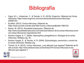 Bibliografía
• Cigoy, M. L., Huberman, Y., & Terzolo, H. R. (2016). Engormix. Obtenido de Coriza
infecciosa: https://www.engormix.com/avicultura/articulos/coriza-infecciosa-
t33283.htm
• EcuRed. (2013). Coriza infecciosa. Obtenido de
https://www.ecured.cu/index.php?title=Coriza_Infecciosa&oldid=1863124
• Ruano, M. (2015). Actualidad avipecuaria. Obtenido de
http://www.actualidadavipecuaria.com/articulos/relacion-de-la-coriza-infecciosa-aviar-
con-otras-infecciones-respiratorias.html
• Soriano Vargas, E. T. (2004). Haemophilus paragallinarum: Etiología de la coriza
infecciosa. Redalyc.org, 35.
• Soriano Vargas, E., & Terzolo, H. R. (2004). Epizootiología, prevención y control de
la coriza infecciosa. Redalyc.org.
• Trenchi, D. H. (2015). Coriza infecciosa: ¿una afección que regresa? Obtenido de El
sitio avícola: http://www.elsitioavicola.com/articles/2741/coriza-infecciosa-nuna-
afeccian-que-regresa-1/
 