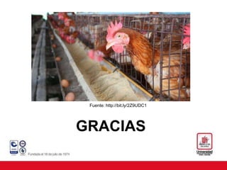 GRACIAS
Fuente: http://bit.ly/2Z9UDC1
 