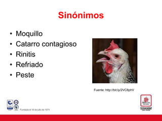 Sinónimos
• Moquillo
• Catarro contagioso
• Rinitis
• Refriado
• Peste
Fuente: http://bit.ly/2VC8phV
 