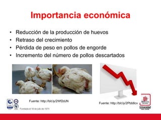 Importancia económica
• Reducción de la producción de huevos
• Retraso del crecimiento
• Pérdida de peso en pollos de engorde
• Incremento del número de pollos descartados
Fuente: http://bit.ly/2Wf2dJN
Fuente: http://bit.ly/2Pbb8cv
 