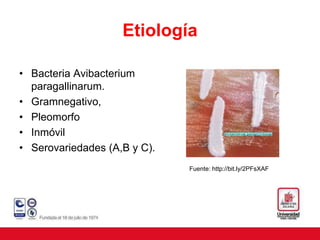 Etiología
• Bacteria Avibacterium
paragallinarum.
• Gramnegativo,
• Pleomorfo
• Inmóvil
• Serovariedades (A,B y C).
Fuente: http://bit.ly/2PFsXAF
 