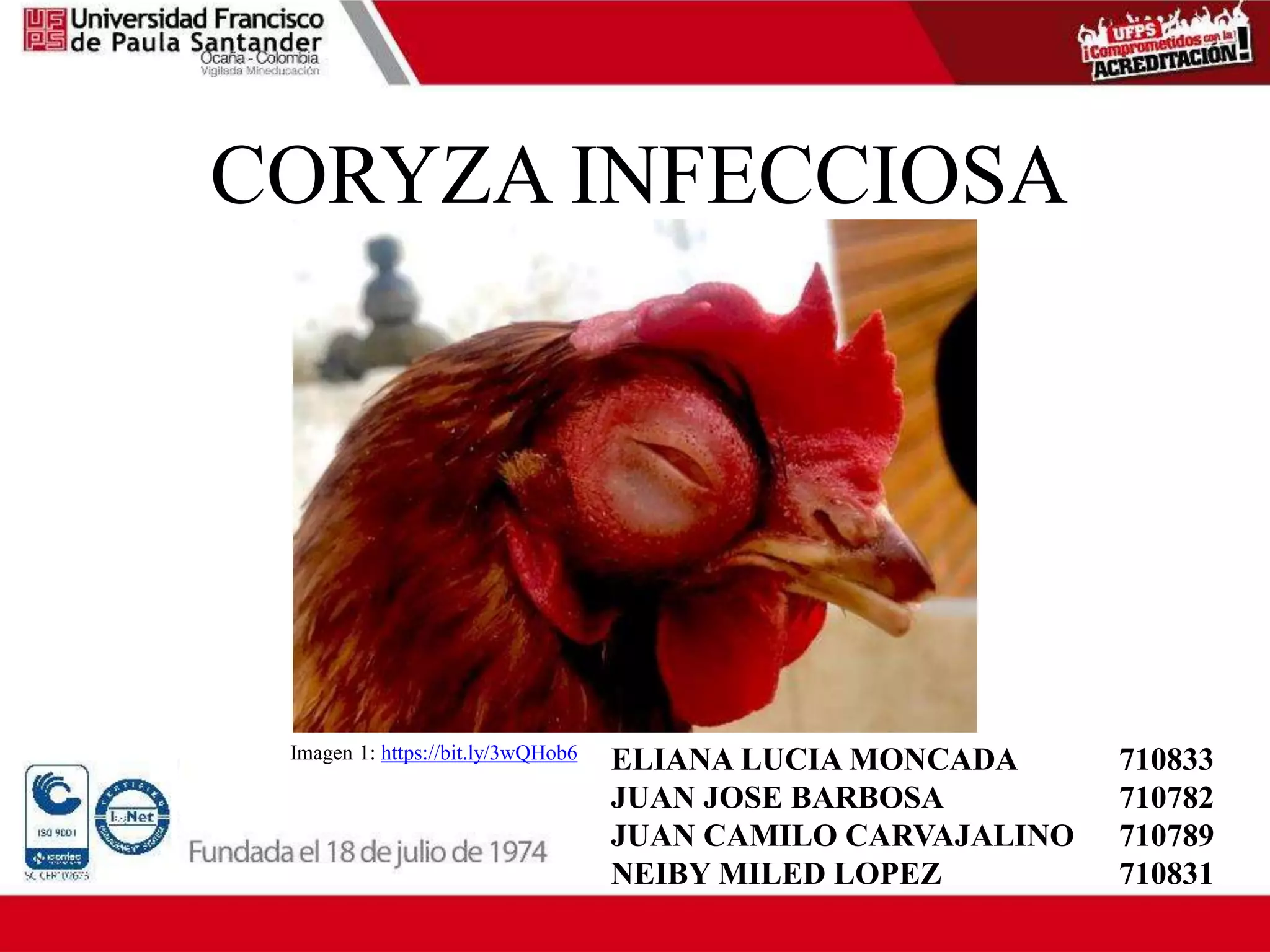 CORIZA INFECCIOSA AVIAR.pptx