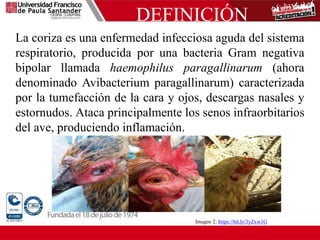 DEFINICIÓN
La coriza es una enfermedad infecciosa aguda del sistema
respiratorio, producida por una bacteria Gram negativa
bipolar llamada haemophilus paragallinarum (ahora
denominado Avibacterium paragallinarum) caracterizada
por la tumefacción de la cara y ojos, descargas nasales y
estornudos. Ataca principalmente los senos infraorbitarios
del ave, produciendo inflamación.
Imagen 2: https://bit.ly/3yZxw1G
 