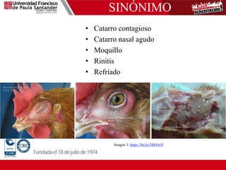 SINÓNIMO
• Catarro contagioso
• Catarro nasal agudo
• Moquillo
• Rinitis
• Refriado
Imagen 3: https://bit.ly/3lH9ArV
 