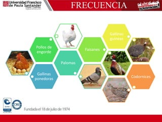 FRECUENCIA
Gallinas
ponedoras
Palomas
Pollos de
engorde
Faisanes
Gallinas
guineas
Codornices
 