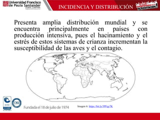 INCIDENCIA Y DISTRIBUCIÓN
Presenta amplia distribución mundial y se
encuentra principalmente en países con
producción intensiva, pues el hacinamiento y el
estrés de estos sistemas de crianza incrementan la
susceptibilidad de las aves y el contagio.
Imagen 6: https://bit.ly/3PFqy7K
 