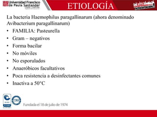 ETIOLOGÍA
La bacteria Haemophilus paragallinarum (ahora denominado
Avibacterium paragallinarum)
• FAMILIA: Pasteurella
• Gram – negativos
• Forma bacilar
• No móviles
• No esporulados
• Anaeróbicos facultativos
• Poca resistencia a desinfectantes comunes
• Inactiva a 50°C
 