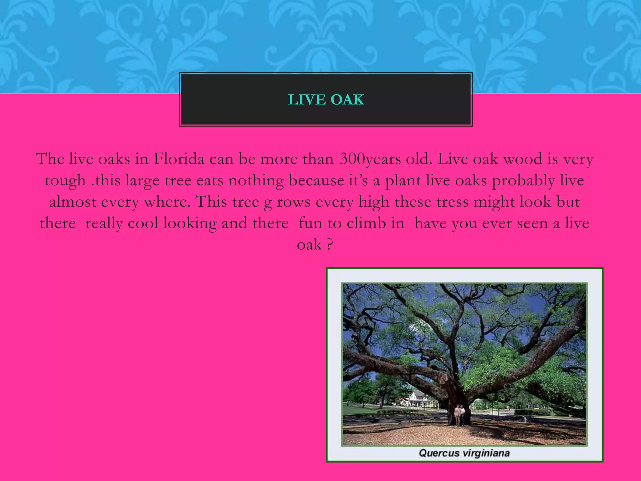 Corkscrew swamp research | PPT