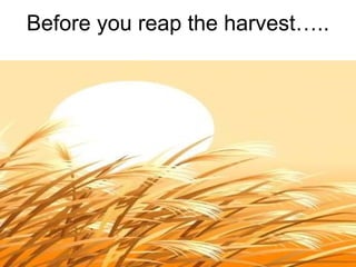 Before you reap the harvest….. 
