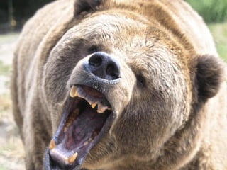 Akamai Confidential   Powering a Better Internet   ©2011 Akamai
 