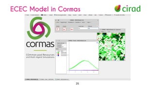 25
ECEC Model in Cormas
 
