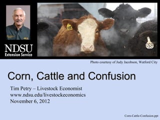 Photo courtesy of Judy Jacobson, Watford City



Corn, Cattle and Confusion
Tim Petry – Livestock Economist
www.ndsu.edu/livestockeconomics
November 6, 2012

                                                        Corn-Cattle-Confusion.ppt
 
