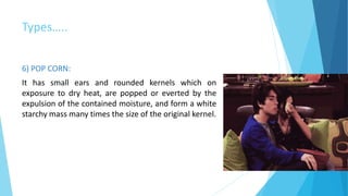 Types…..
6) POP CORN:
It has small ears and rounded kernels which on
exposure to dry heat, are popped or everted by the
expulsion of the contained moisture, and form a white
starchy mass many times the size of the original kernel.
 