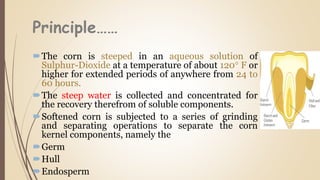 Principle……
The corn is steeped in an aqueous solution of
Sulphur-Dioxide at a temperature of about 120° F or
higher for extended periods of anywhere from 24 to
60 hours.
The steep water is collected and concentrated for
the recovery therefrom of soluble components.
Softened corn is subjected to a series of grinding
and separating operations to separate the corn
kernel components, namely the
Germ
Hull
Endosperm
 