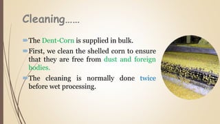 Cleaning……
The Dent-Corn is supplied in bulk.
First, we clean the shelled corn to ensure
that they are free from dust and foreign
bodies.
The cleaning is normally done twice
before wet processing.
 
