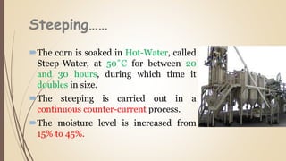 Steeping……
The corn is soaked in Hot-Water, called
Steep-Water, at 50˚C for between 20
and 30 hours, during which time it
doubles in size.
The steeping is carried out in a
continuous counter-current process.
The moisture level is increased from
15% to 45%.
 