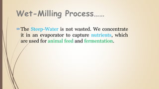 Wet-Milling Process……
The Steep-Water is not wasted. We concentrate
it in an evaporator to capture nutrients, which
are used for animal feed and fermentation.
 