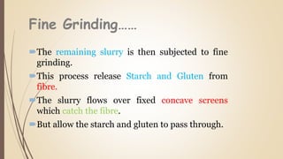 Fine Grinding……
The remaining slurry is then subjected to fine
grinding.
This process release Starch and Gluten from
fibre.
The slurry flows over fixed concave screens
which catch the fibre.
But allow the starch and gluten to pass through.
 