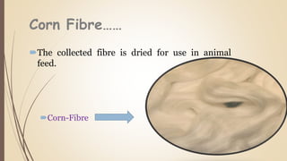 Corn Fibre……
The collected fibre is dried for use in animal
feed.
Corn-Fibre
 