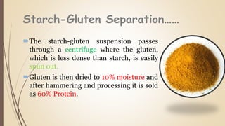 Starch-Gluten Separation……
The starch-gluten suspension passes
through a centrifuge where the gluten,
which is less dense than starch, is easily
spun out.
Gluten is then dried to 10% moisture and
after hammering and processing it is sold
as 60% Protein.
 