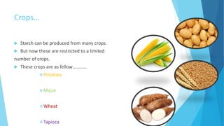 Crops…
 Starch can be produced from many crops.
 But now these are restricted to a limited
number of crops.
 These crops are as fellow…………
Potatoes
Maize
Wheat
Tapioca
 